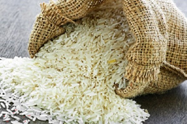 برنج تراریخته وارد نمی شود/ آغاز برچسب گذاری محصولات