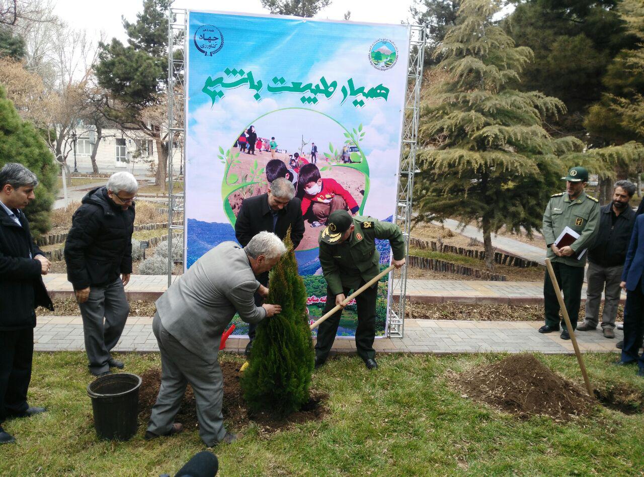 درختکاری استاندار در روز درختکاری+تصویر