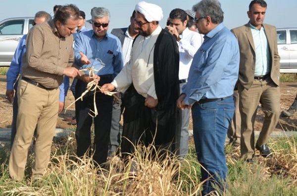 کشت متنوع در استان های دیگر و خشکی مزارع نیشکر به دلیل بی آبی ، از عدالت به دور است