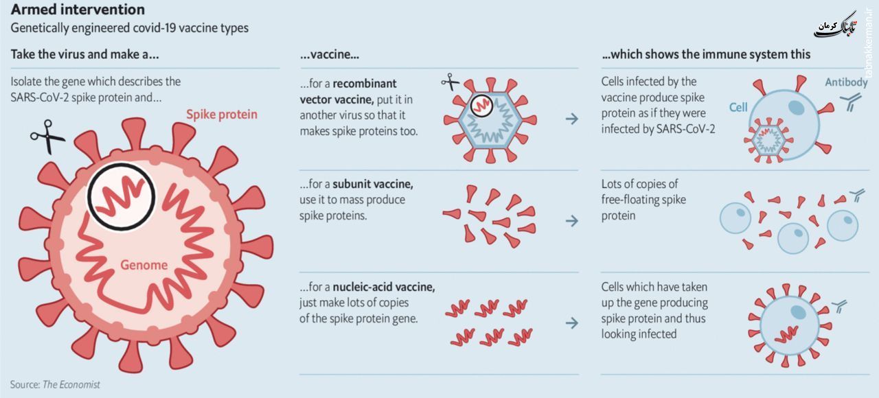 رویکردهای ساخت واکسن از طریق مهندسی ژنتیک