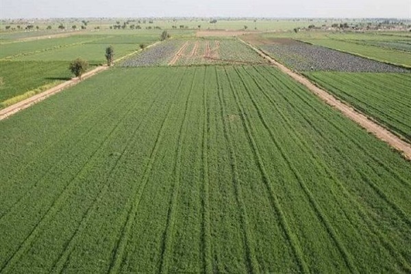 صیانت از اراضی کشاورزی در گرو همکاری دستگاه&zwnj;ها / طرح&zwnj;های فاقد مجوز محیط زیست متوقف می&zwnj;شوند