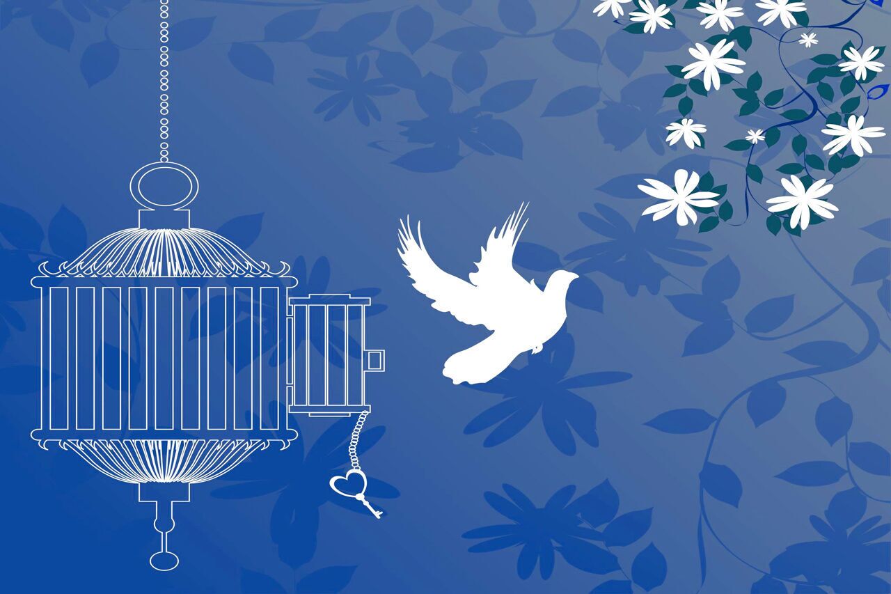 آزادی ۴۰ زندانی غیرعمد در آذربایجان&zwnj;شرقی