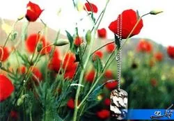 معاون استانداری یزد: شهدا بهترین ارزش های جامعه هستند